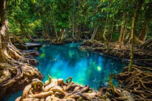 แพคเกจทัวร์กระบี่ 9 วัน 8 คืน